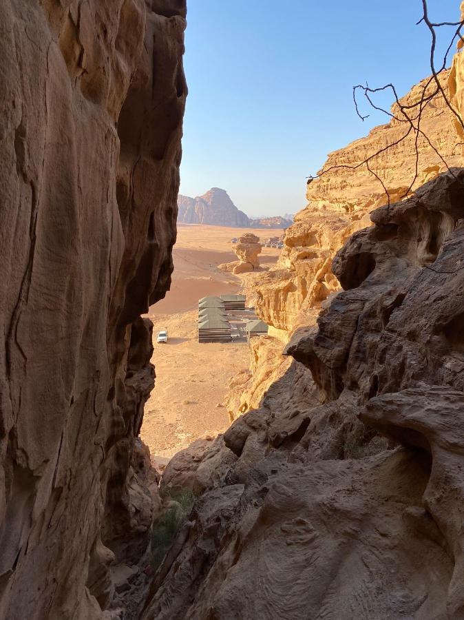 Desert Jewel Camp Wadi Rum Exteriör bild
