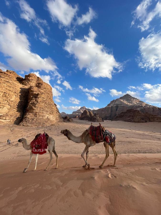 Desert Jewel Camp Wadi Rum Exteriör bild