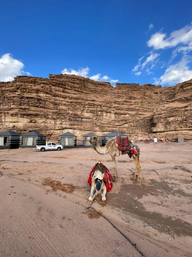 Desert Jewel Camp Wadi Rum Exteriör bild